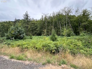 0 N Dubois Rd Unit 118147821, Ariel, WA 98603