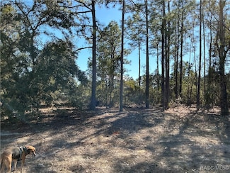 2788 W Deltona Blvd, Dunnellon, FL 34433