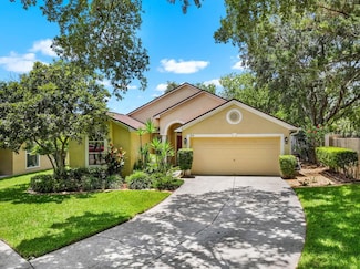 810 Erik Lake Rd, Brandon, FL 33510