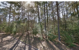0 Brazos Unit 23549090, Willis, TX 77378