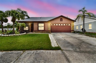 11304 Plumtree Ct, Riverview, FL 33579