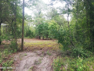 10100 Oliver Ave, Hastings, FL 32145