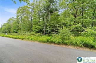 683 Wild Creek Dr, Penn Forest Township, PA 18229