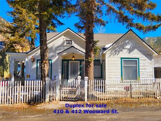 410 Woodward St, Silver Plume, CO 80476