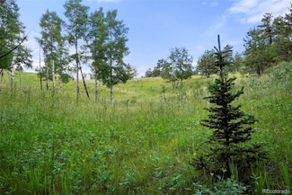 0 Schubarth Trail Unit REC7324765, Woodland Park, CO 80863