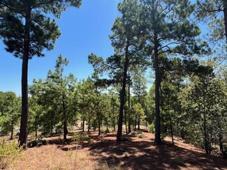 lot 666 Honopupu Dr, Bastrop, TX 78602