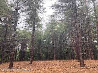 Lot 6 County Route 51, Coxsackie, NY 12051