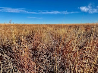 0 Tbd County Road 8, Coolidge, KS 67836