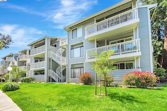 3507 Buttonwood Terrace Unit 203, Fremont, CA 94536