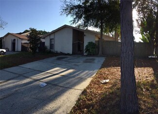 11001 Bottlebrush Place, Tampa, FL 33624