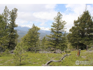 0 Lefthand Canyon Dr, Jamestown, CO 80455