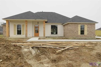 14338 Summer Place Dr, Gonzales, LA 70737