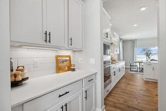 866 Laurel Ct, Chaska, MN 55318