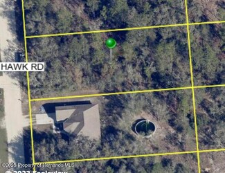 0 Duck Hawk Rd Unit 2253246, Weeki Wachee, FL 34614