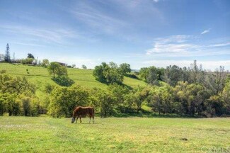 195 Bryden Way, Oroville, CA 95966