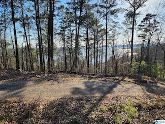 Lot 349 Canyon Dr Unit 349, Talladega, AL 35160