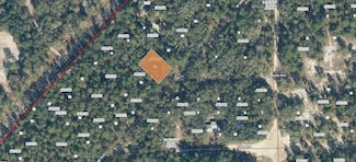 118 Hillsborough Ave, Florahome, FL 32140