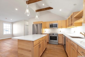 108 South St Unit E, Oyster Bay, NY 11771