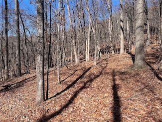 1538 Moss Patch Trail, Jasper, GA 30143