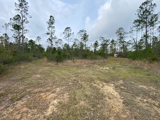 0 Alabama 17, Deer Park, AL 36529