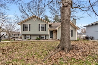 603 SE Fox Run Ct, Blue Springs, MO 64014