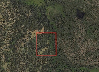 0 Forrest Rd 41 Unit 225095925, Soda Springs, CA 95728