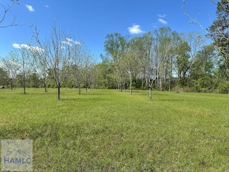 Lot 3 Georgia 169, Glennville, GA 30427