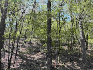 0 Wafer Cir, Hot Springs, AR 71901