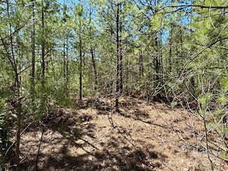 99 Oak Laurel Rd, Brevard, NC 28712