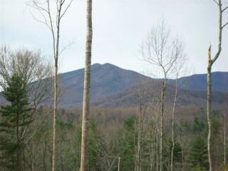 0 Peters Creek Rd Unit 273728, Big Island, VA 24526