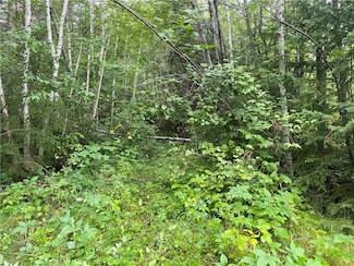 On Knowles Rd, Winter, WI 54896