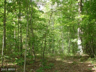 0 Eggbornsville Rd Unit 1004090632, Rixeyville, VA 22737