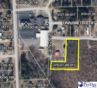 0 Goings Dr, Dillon, SC 29536