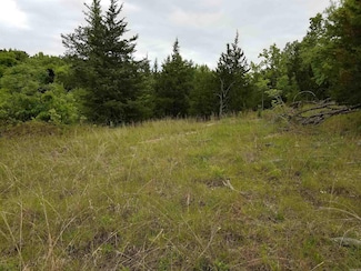 2244 Highway 355 S, Saratoga, AR 71859