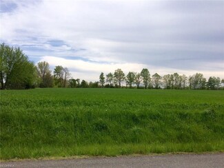 S/L#13 Stone Rd, Litchfield, OH 44253