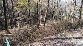 16 Lake View, Smithville, TN 37166