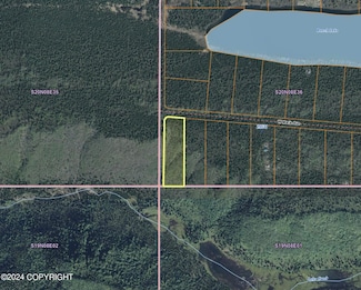 L1 B4 No Rd, Chickaloon, AK 99674