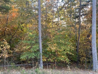 82 San Juan Way, Hot Springs Village, AR 71909