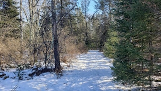 2 S Fork Rd, Flambeau, WI 54555