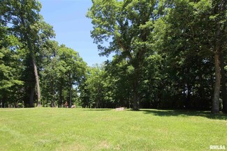 1108 Shagbark Ln, Metamora, IL 61548