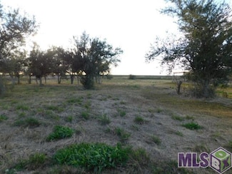 TBD S Alex Plaisance Blvd, Golden Meadow, LA 70357