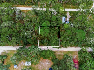 0000 NE 466th Ave Old Town Unit Fl 32680, Old Town, FL 32680