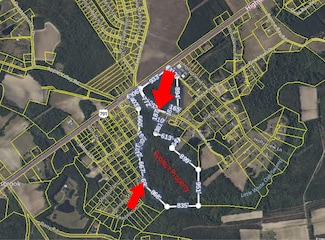 TBD Highway 701 Unit Rabon Rd, Loris, SC 29569