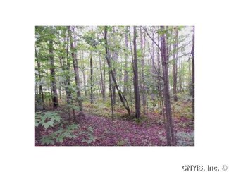 LOT 3 Bull Run Rd, Parish, NY 13131