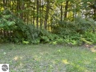 N/A Huron Woods, Whitney Township, MI 48763