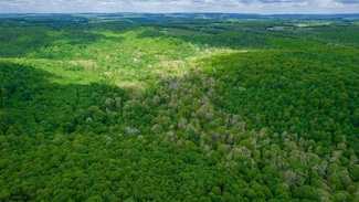 TBD Tract 1 Greens Run, Kingwood, WV 26537
