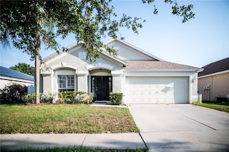 11567 Misty Isle Ln, Riverview, FL 33579
