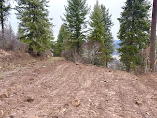 1684 Tranquil Ln, Orofino, ID 83544