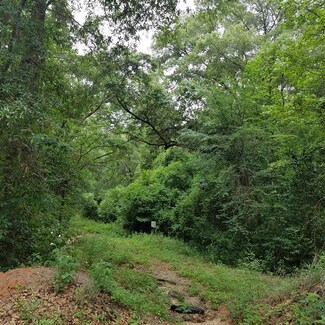 9.9 Acres Maple St, Bainbridge, GA 39817