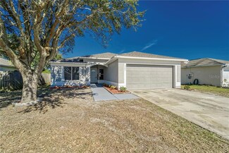 1205 Alpine Lake Dr, Brandon, FL 33511